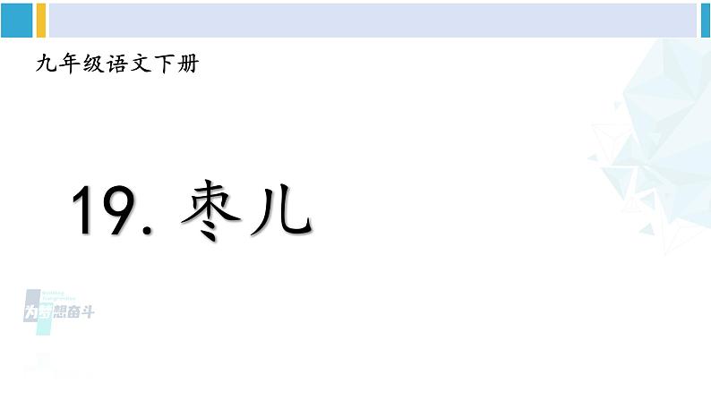 统编版九年级语文下册  19 枣儿（课件）第4页