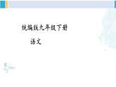 统编版九年级语文下册  第六单元 主题阅读（课件）