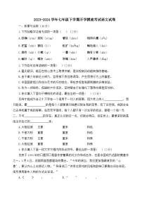 湖南省衡阳县井头镇大云中学2023-2024学年七年级下学期开学摸底考试语文试卷