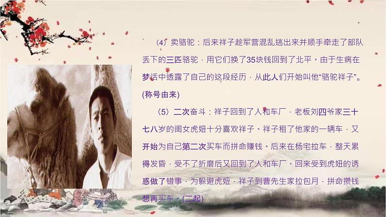 统编版语文七年级下册 第三单元 名著导读《骆驼祥子》课件第7页