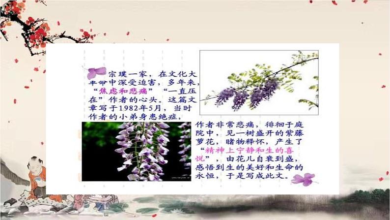 统编版语文七年级下册 18 紫藤萝瀑布课件05