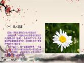 统编版语文七年级下册 24 带上她的眼睛课件