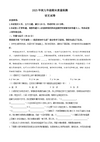 河南省商丘市柘城县2023-2024学年九年级上学期期末语文试题（原卷版+解析版）
