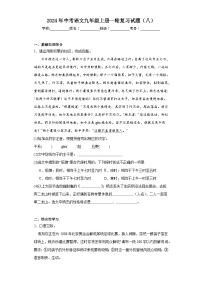 2024年中考语文九年级上册一轮复习试题（八）