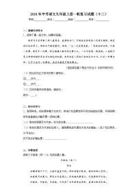 2024年中考语文九年级上册一轮复习试题（十三）