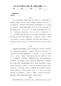 2024年中考语文九年级上册一轮复习试题（十二）