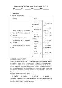 2024年中考语文九年级上册一轮复习试题（二十）