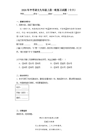 2024年中考语文九年级上册一轮复习试题（十六）