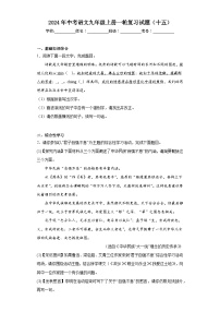 2024年中考语文九年级上册一轮复习试题（十五）