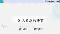初中语文人教部编版八年级下册大自然的语言课前预习课件ppt