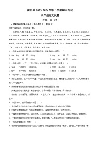 山东省淄博市桓台县2023-2024学年八年级上学期期末语文试题（原卷版+解析版）