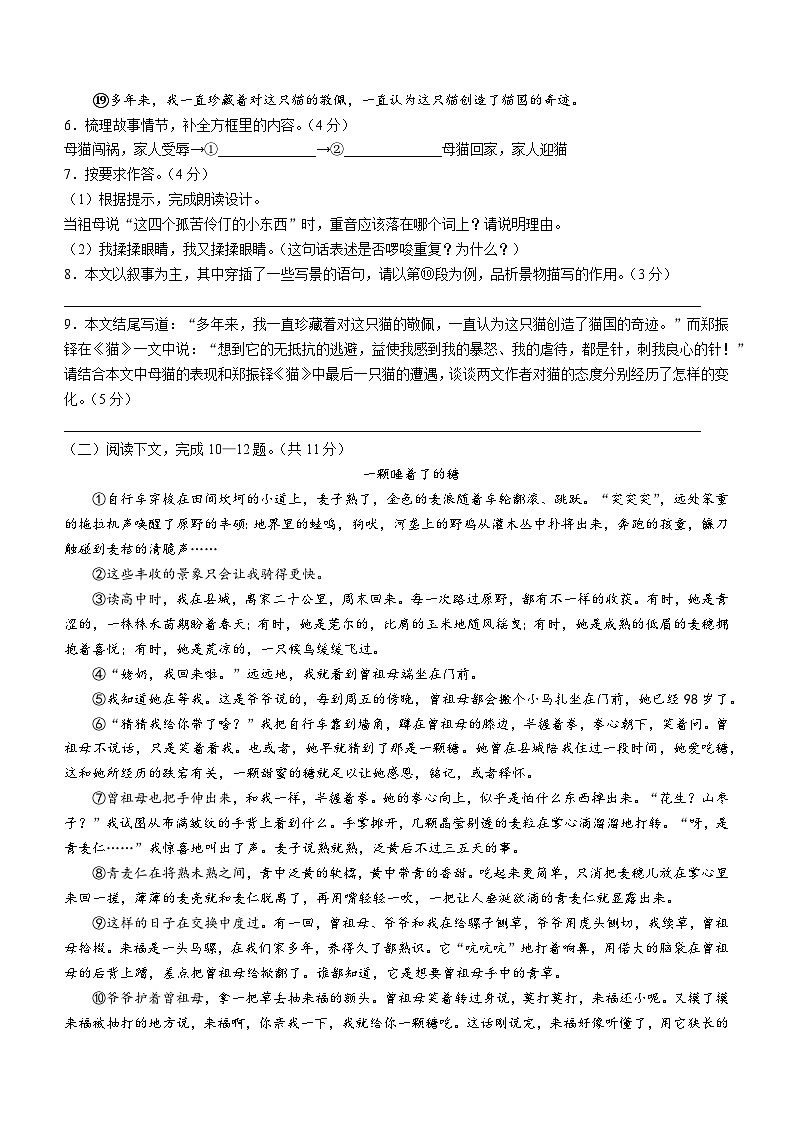 河南省驻马店市平舆县2023-2024学年七年级上学期期末语文试题第3页