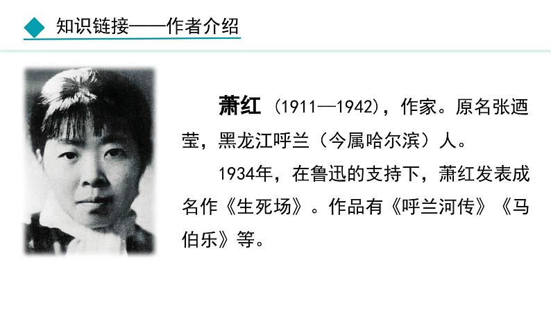 第3课回忆鲁迅先生（节选）课件第6页