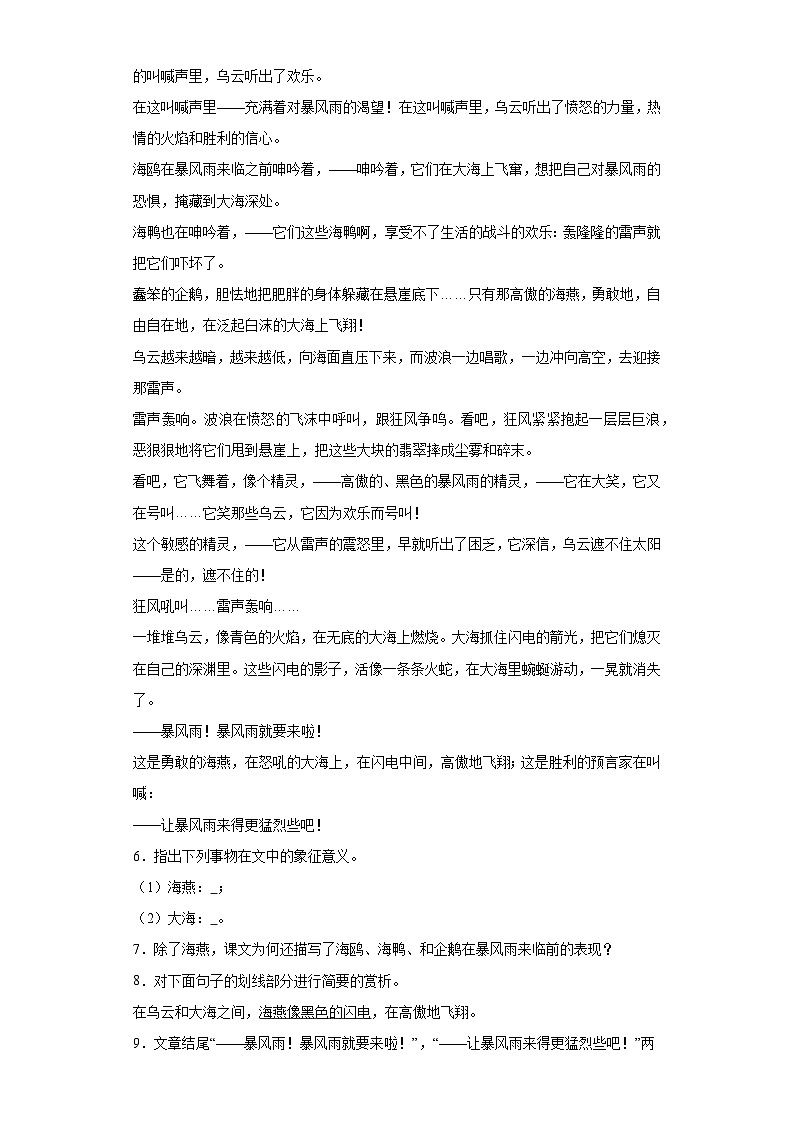 2024年中考语文九年级下册一轮复习试题（八）第3页