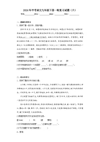 2024年中考语文九年级下册一轮复习试题（六）