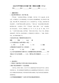 2024年中考语文九年级下册一轮复习试题（十七）