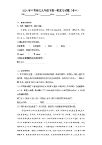 2024年中考语文九年级下册一轮复习试题（十六）