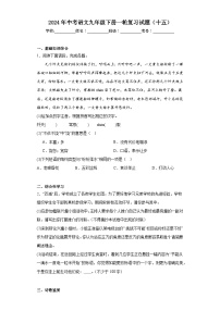 2024年中考语文九年级下册一轮复习试题（十五）