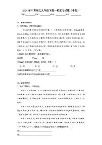 2024年中考语文九年级下册一轮复习试题（十四）