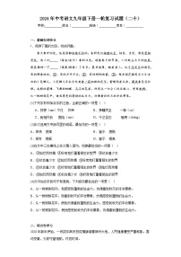 2024年中考语文九年级下册一轮复习试题（二十）