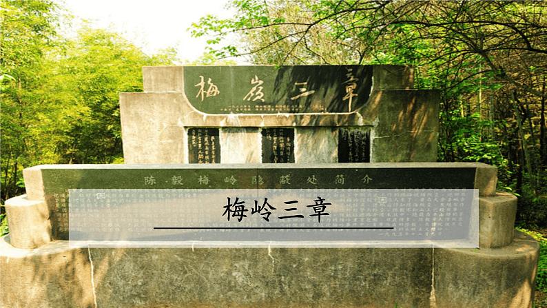 梅岭三章PPT课件3第1页