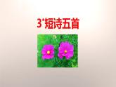 短诗五首PPT课件1
