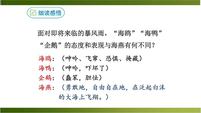 海燕PPT课件3第3页