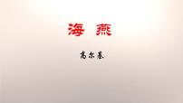 人教部编版九年级下册海燕说课ppt课件