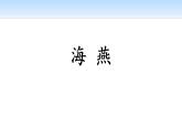 海燕PPT课件5