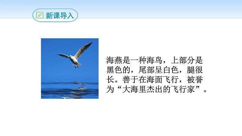海燕PPT课件5第3页