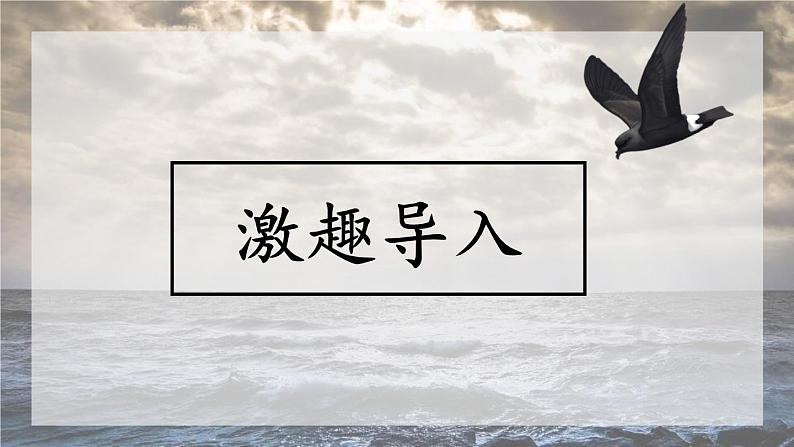 海燕PPT课件8第4页