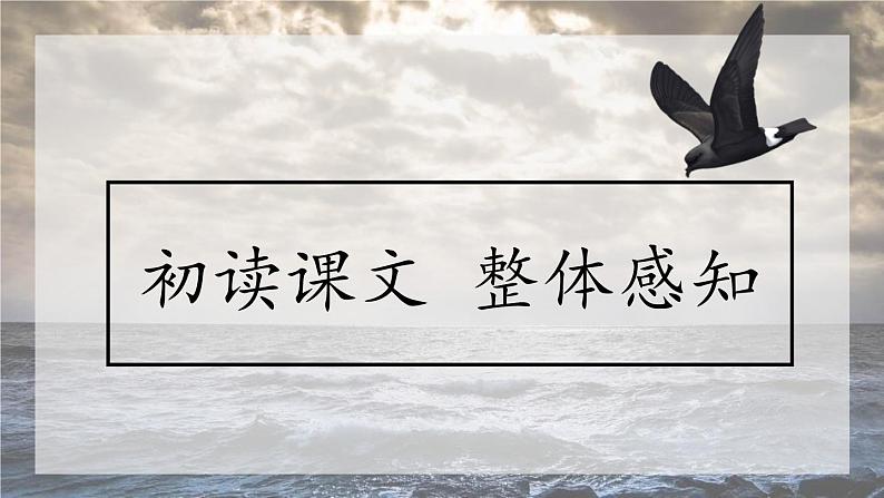 海燕PPT课件8第5页