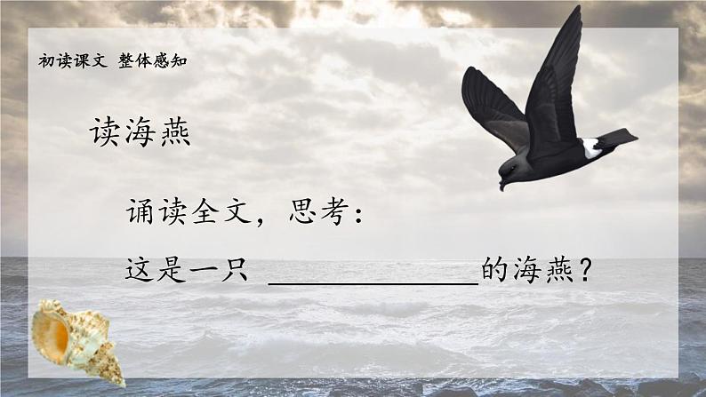海燕PPT课件8第7页