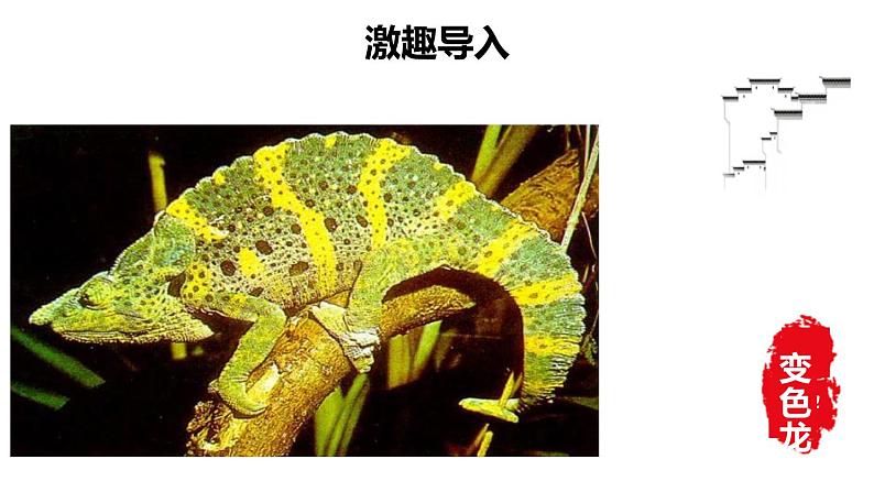 变色龙PPT课件702