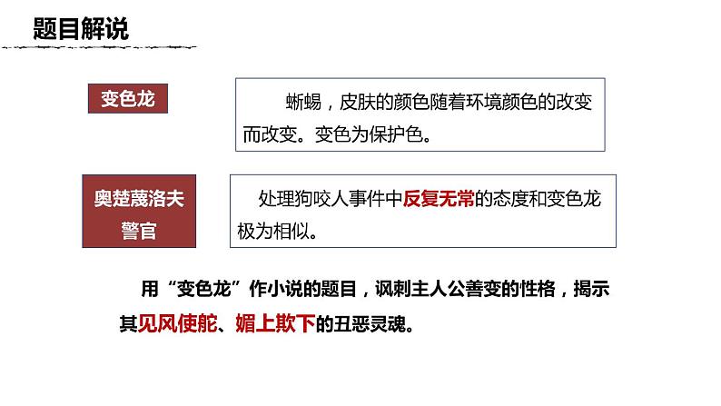 变色龙PPT课件1第4页