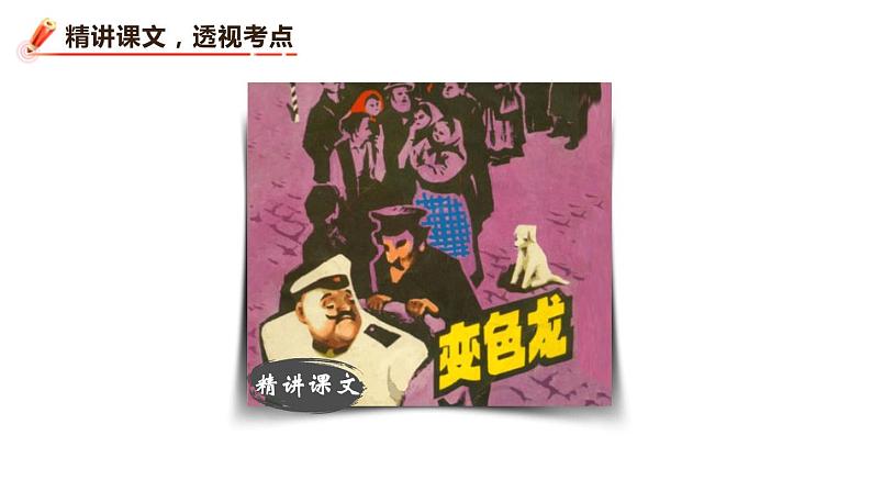 变色龙PPT课件2第4页