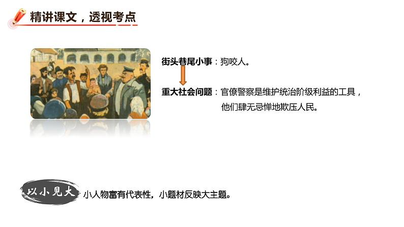 变色龙PPT课件2第5页