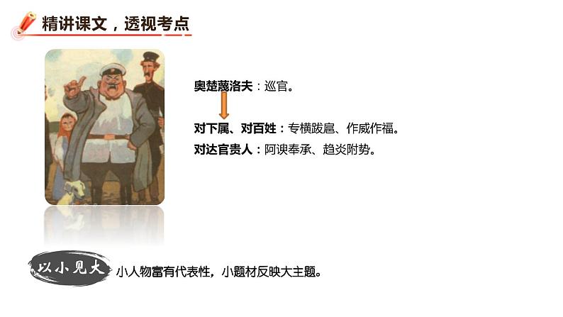 变色龙PPT课件2第6页