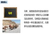 溜索PPT课件7