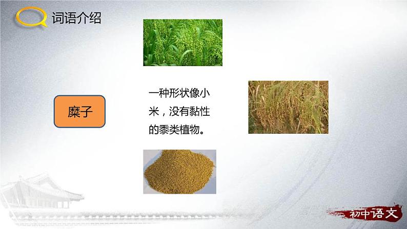 回延安PPT课件1第5页