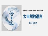 大自然的语言PPT课件8