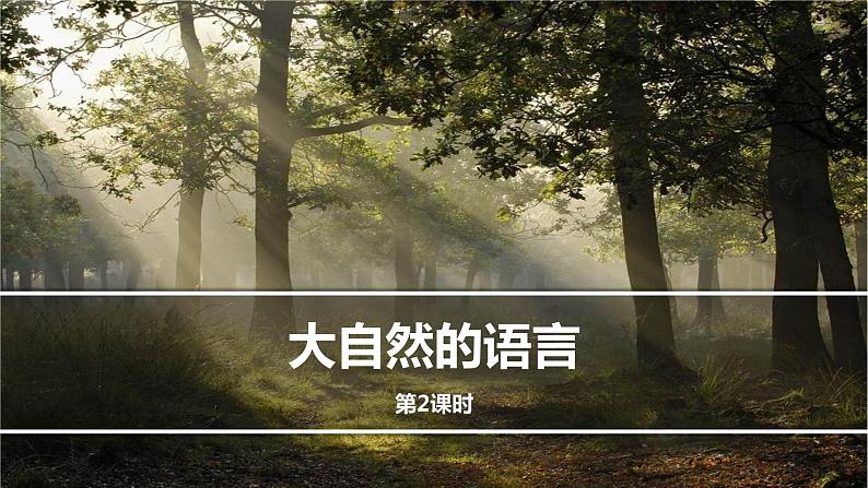 大自然的语言PPT课件3第1页