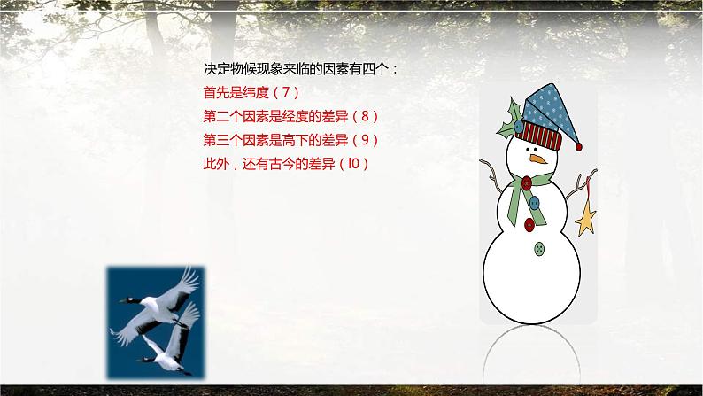 大自然的语言PPT课件3第5页