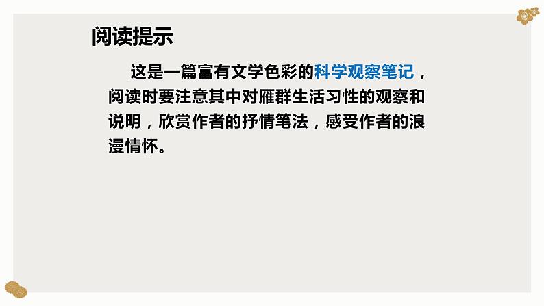 大雁归来PPT课件3第2页