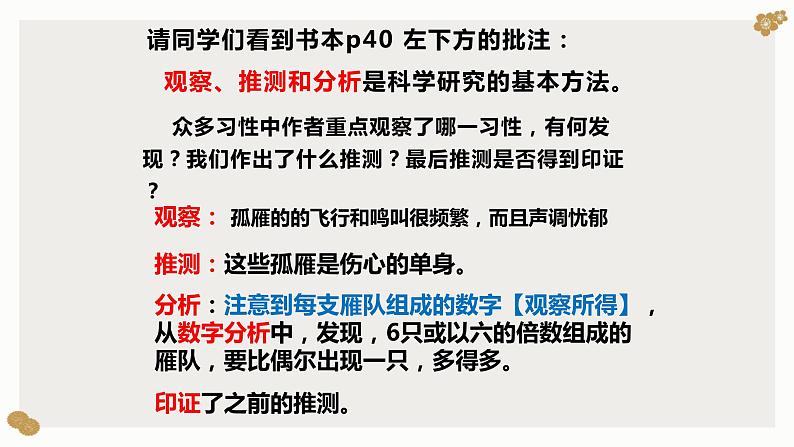 大雁归来PPT课件3第4页