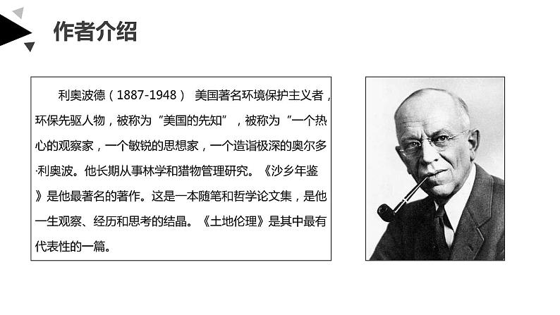 大雁归来PPT课件2第2页