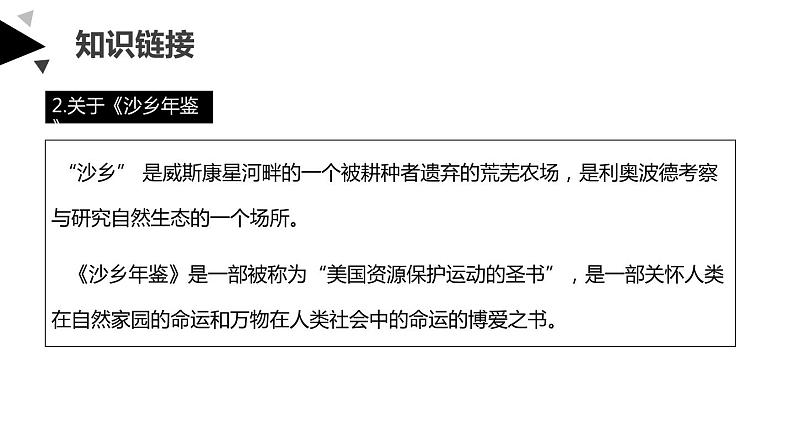 大雁归来PPT课件2第4页