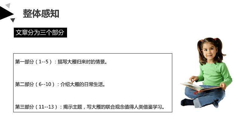 大雁归来PPT课件2第8页