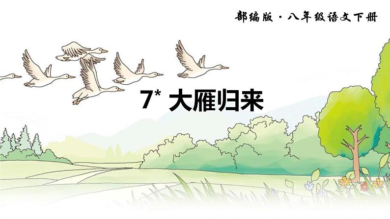 大雁归来PPT课件4第1页