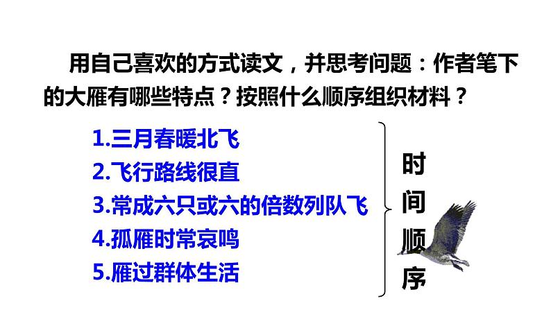 大雁归来PPT课件4第4页